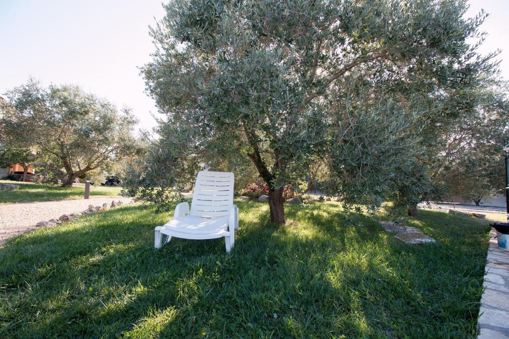 Marceta - Apartments & Rooms With Swimming Pool Fažana Exterior foto