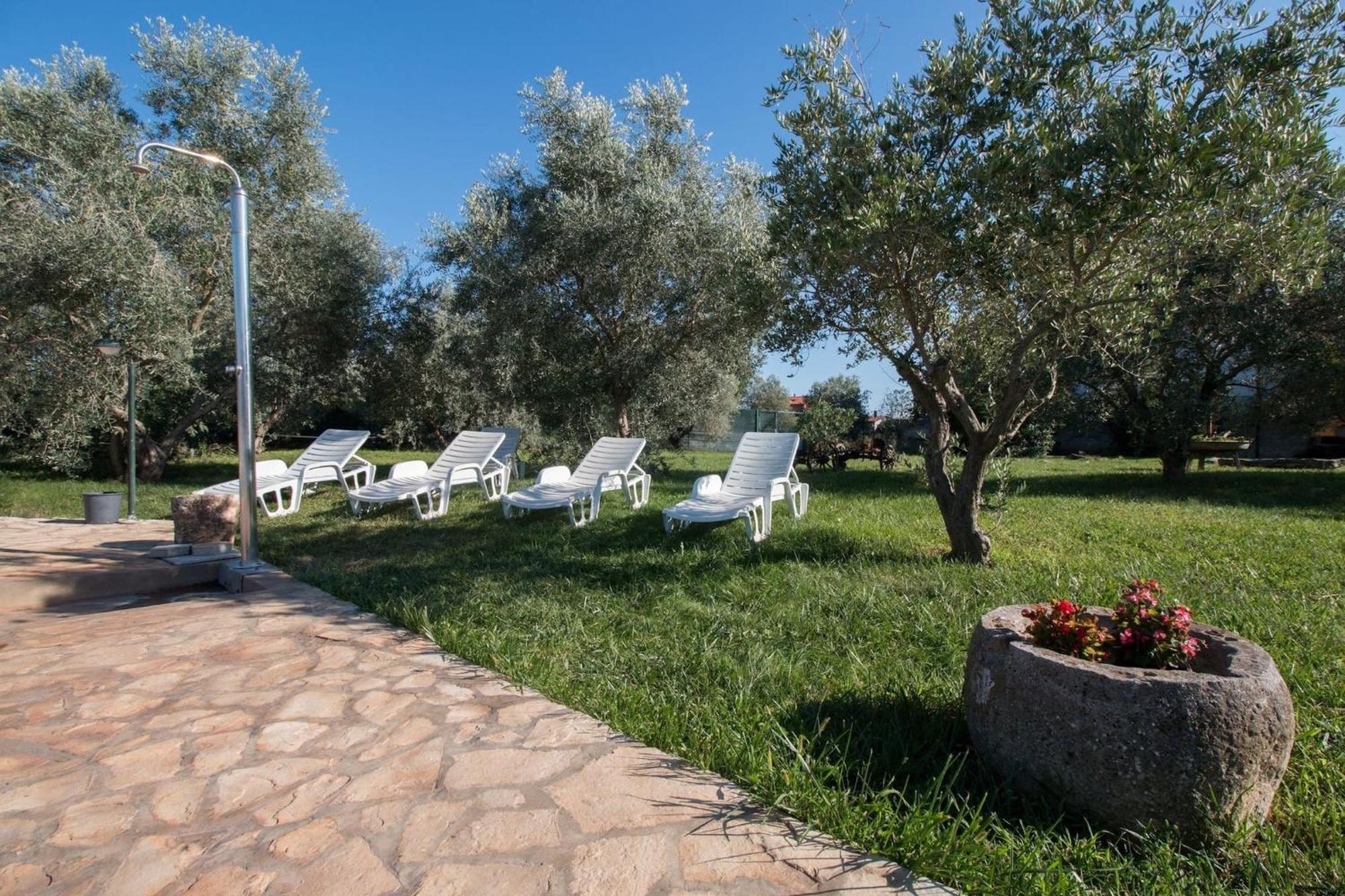 Marceta - Apartments & Rooms With Swimming Pool Fažana Exterior foto